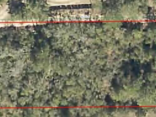 000 Se143rd Lane  Umatilla, FL 32784