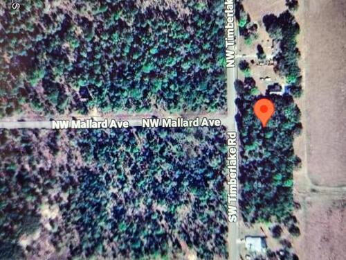 00 Nw  Timberlake Road Road  Dunnellon, FL 34431